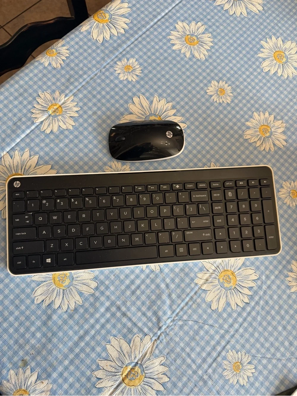 EUC~Wireless HP Keyboard & Wireless HP Mouse